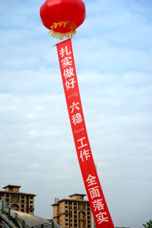 鏡頭帶你逛廣元建材與化工產品產銷對接會